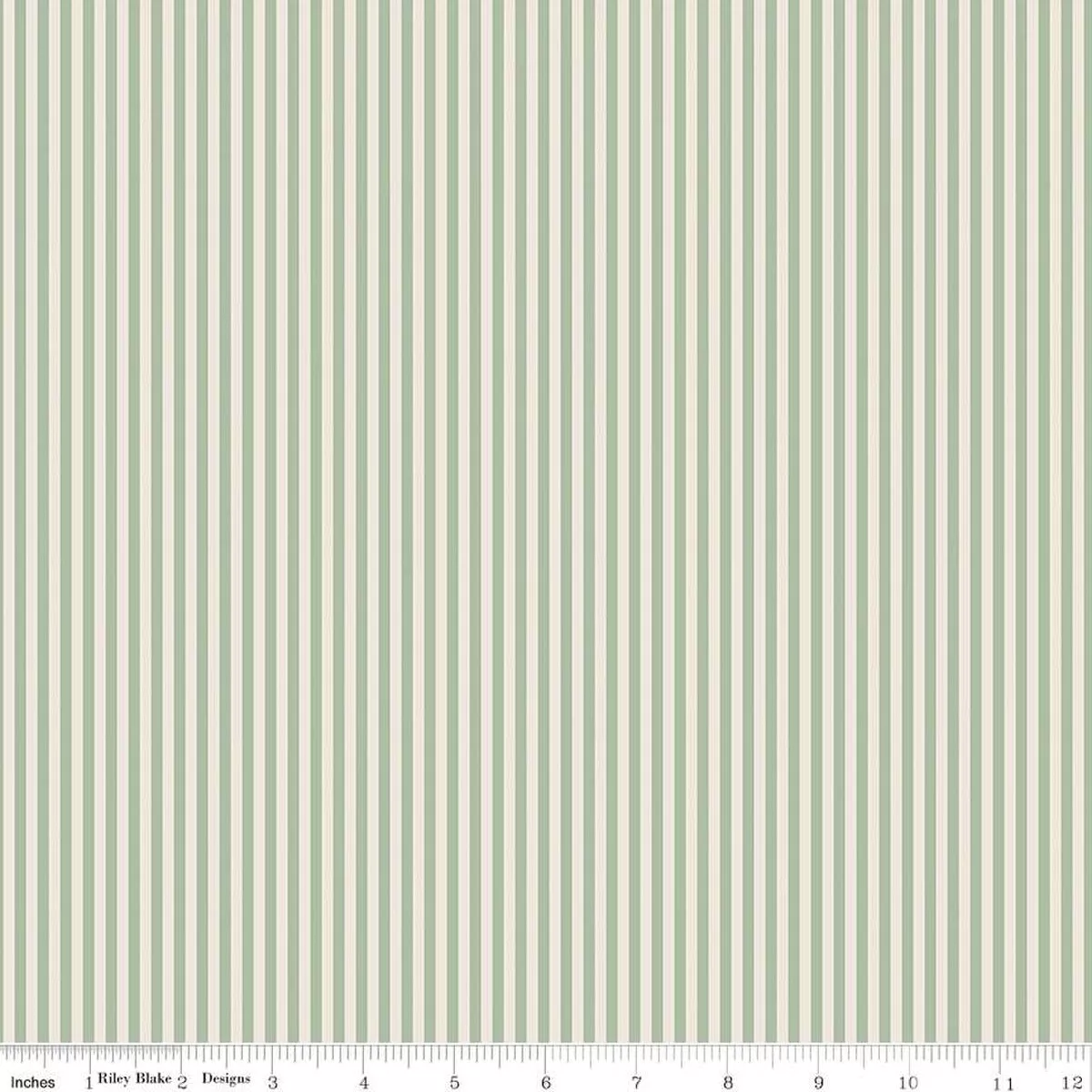 1/8" Stripe on Ivory - Sage