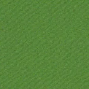 Fabric Finders 15 Yard Bolt 9.34 A Yd Apple Green Broadcloth 60 inch