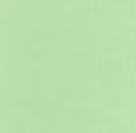 Fabric Finders Pistachio Pique 15 Yd Bolt 9.34 A Yd 100% Pima Cotton Fabric 60"