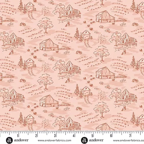 Little Toile - Peachy